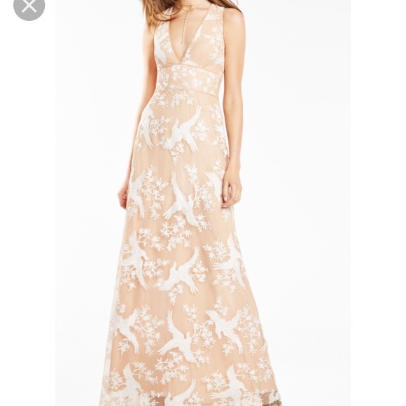bcbg gown dresses